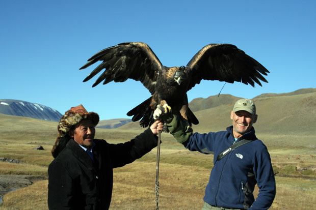 golden eagle hunting wolves. Hunting with eagles is very