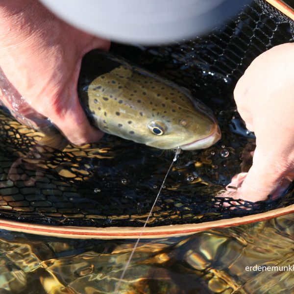 Fly Fishing in Mongolia