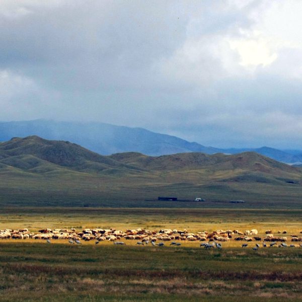 Autumn in Mongolia
