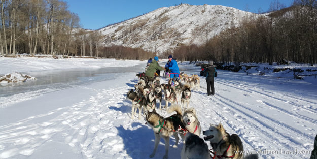 Dog Sleigh in Terelj National park