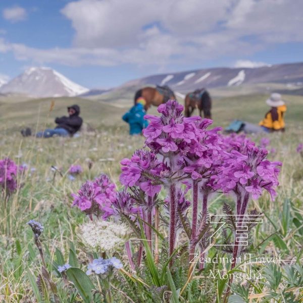 Altai tavan bogd national park