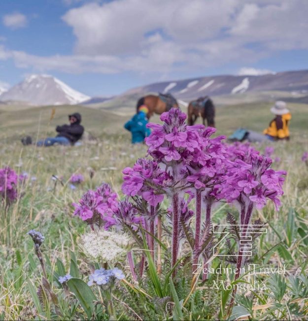 Altai tavan bogd national park