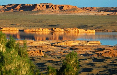 green grass and river in Mongolia