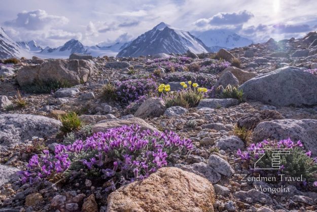 Altai tavan bogd national park