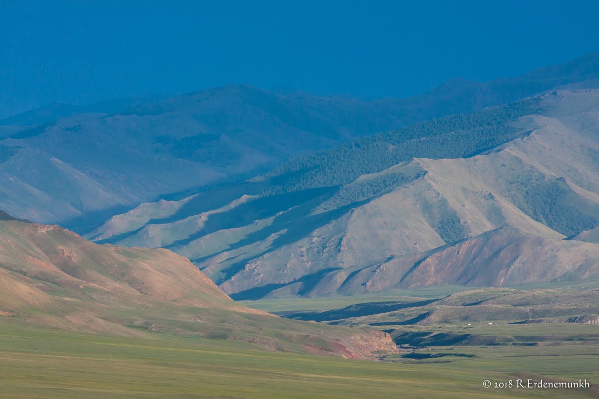 Zendmen Travel Mongolia