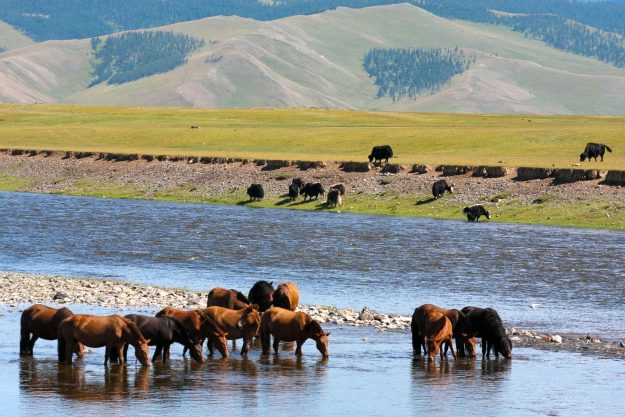 Central Mongolia